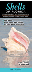 Shells of Florida - Atlantic Coast