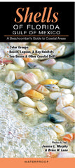 Shells of Florida - Gulf Coast