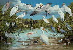Poster - Waterbirds