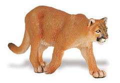 Panther (Mountain Lion)